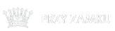 Studio Przy Zamku - Fotografia, film, wideo, ślub, event Szczecin logo